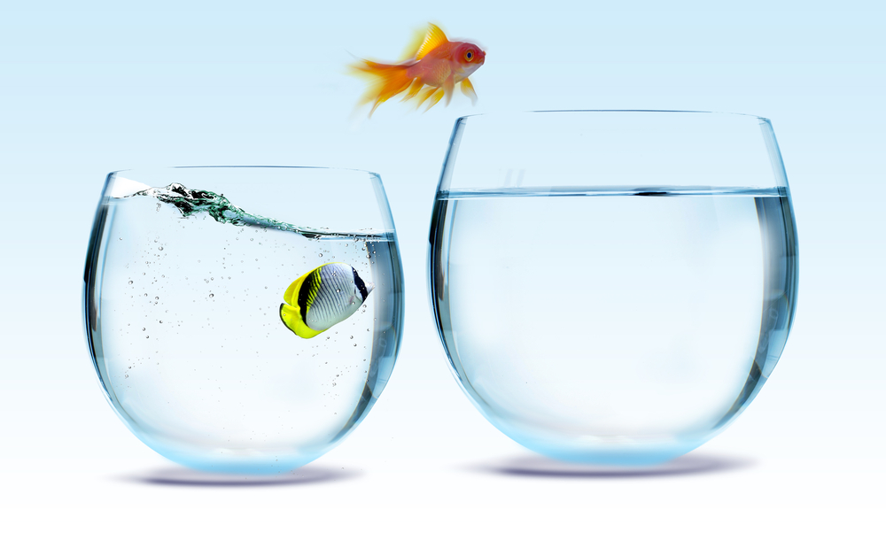 01.05.11-8-Steps-to-Changing-Jobs-with-a-Current-Employer